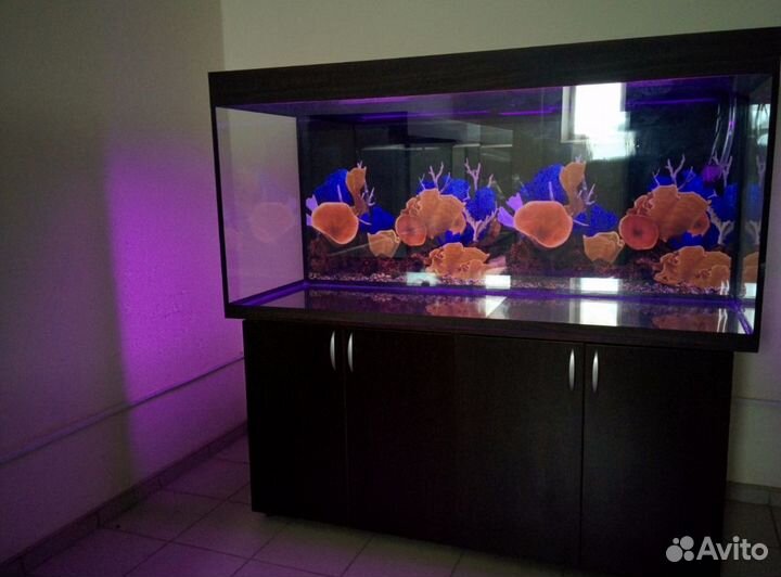 Аквариум 639л. свет, тумба, фон, биофильтр