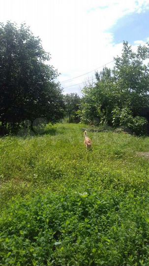 Дом 38,2 м² на участке 9 сот.