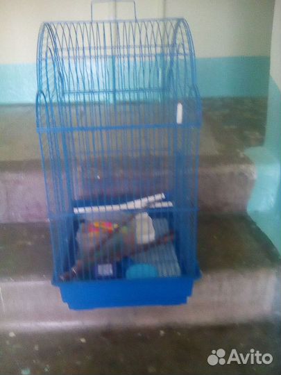 Клетка для птиц