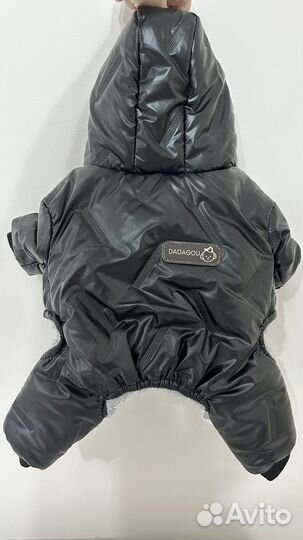 Новый комбинезон для мелких плрод собак