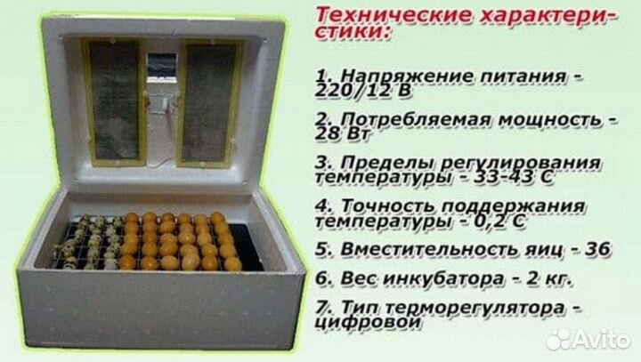 Инкубатор 