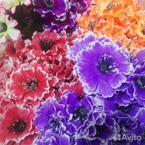 Цветы пасхальные