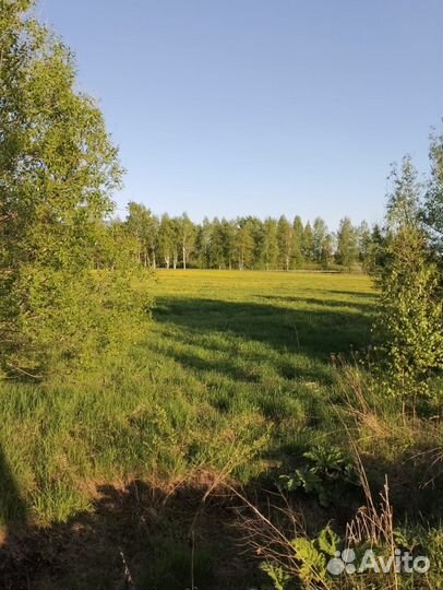 Продажа Действующее кфх