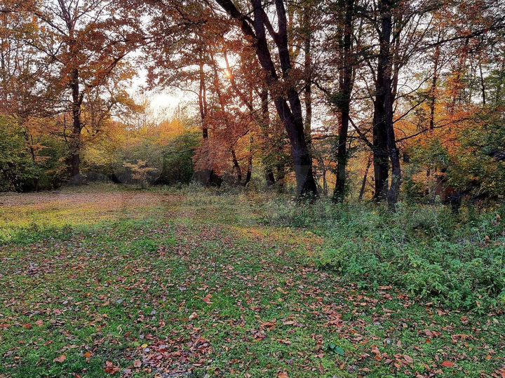 Участок 2,3 га (СНТ, ДНП)