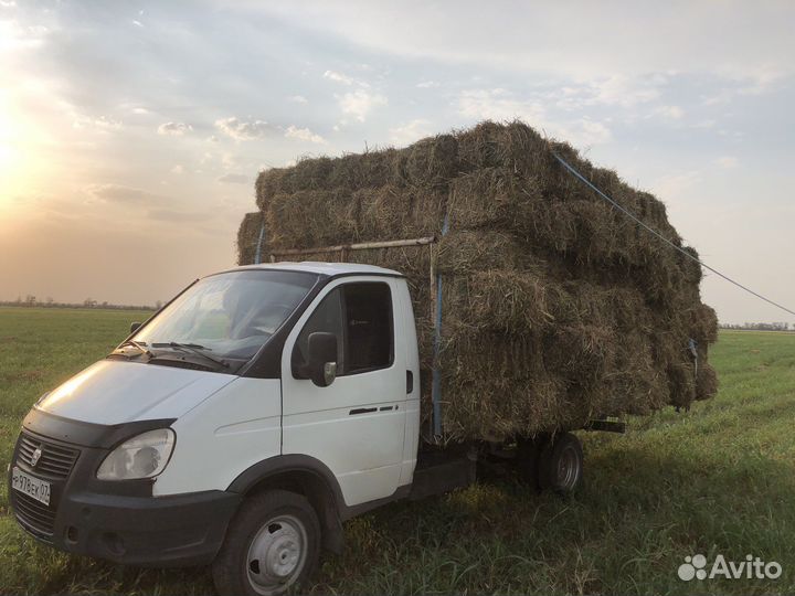 Сено солома