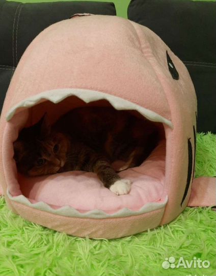 Домик лежанка для кошки