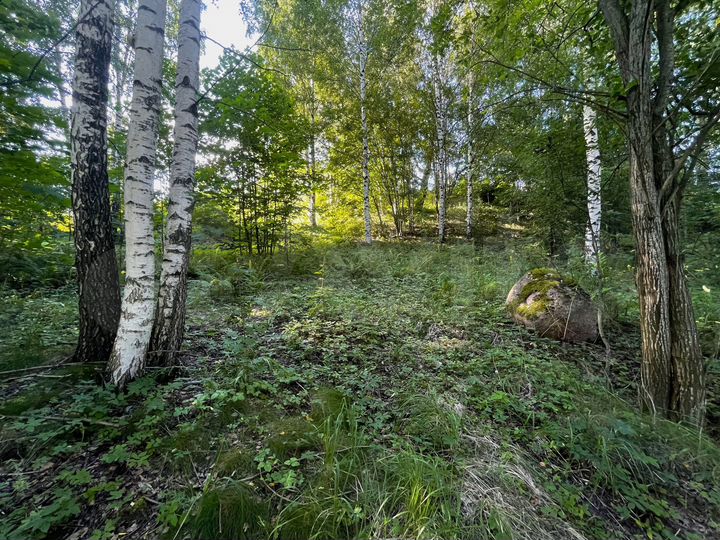 Участок 16 сот. (ИЖС)