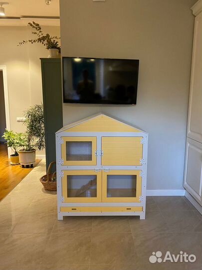 Кролик карликовый декоративный