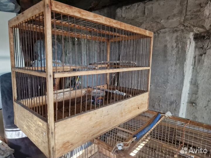 Клетки для птиц