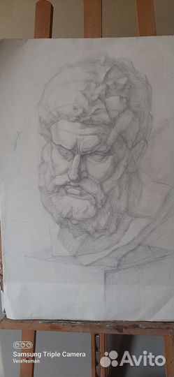 Репетитор по академическому рисунку