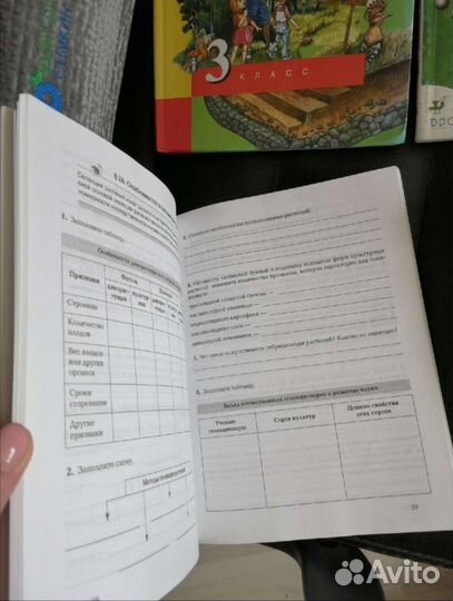 Учебник, рабочие тетради