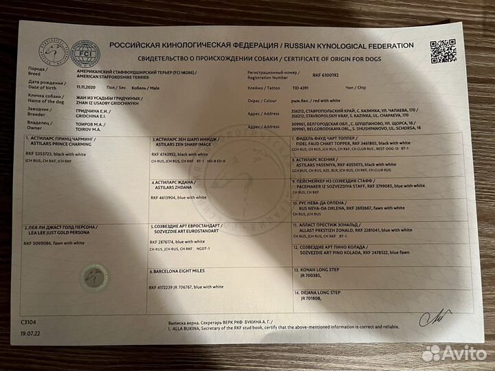 Вязка собак