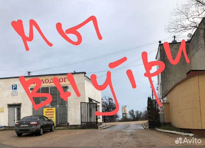 Форель св мороженная карелия