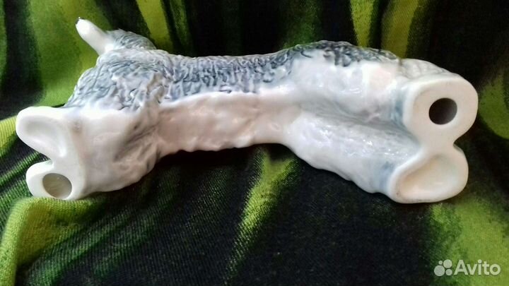 Афганская борзая. лфз