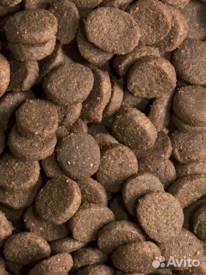 Корм ProBalance Immuno Adult Maxi 15 кг