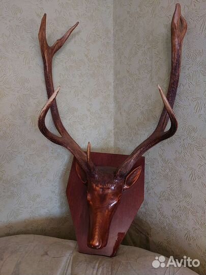 Голова Огромная Оленя Дерево сОригинальными Рогами