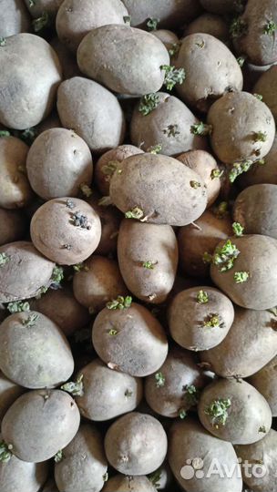 Все для сада и огорода