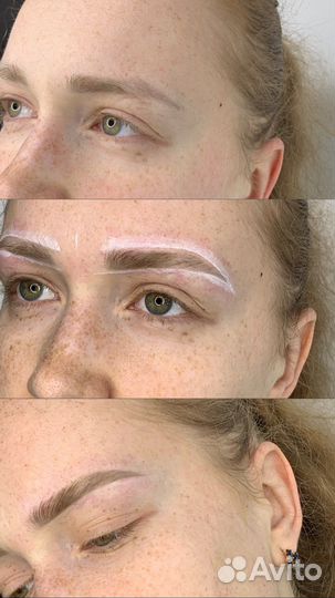 Курс бровист