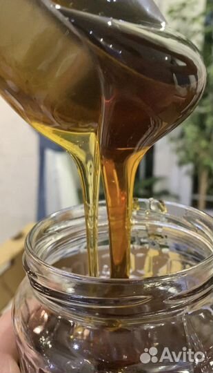 Мед, пыльца, соты, забрус