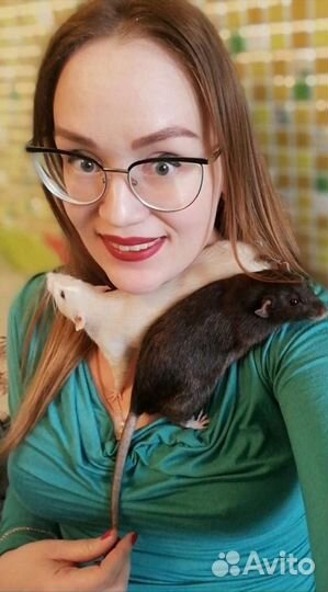 Передержка животных