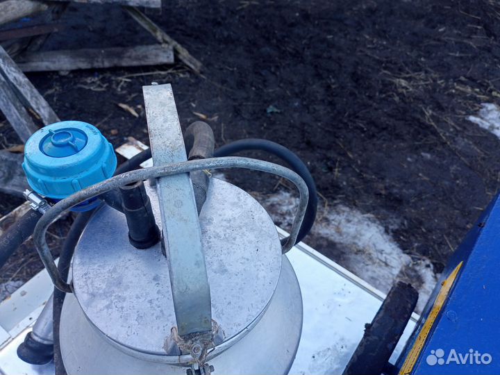 Доильный аппарат для коров бу