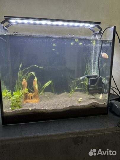 Аквариум 35 литров
