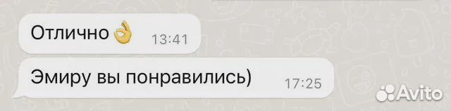 Репетитор по Русскому языку