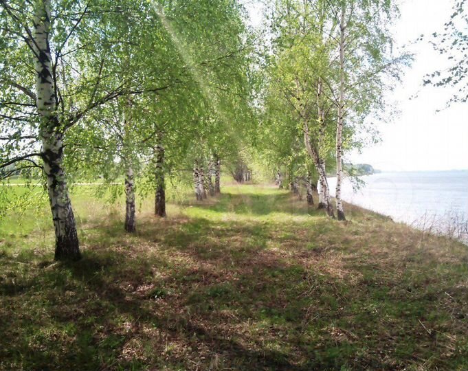 Участок 15 сот. (ИЖС)