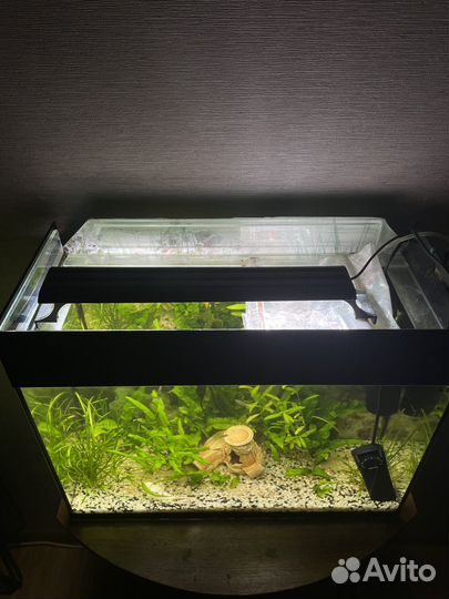Акариум 50л