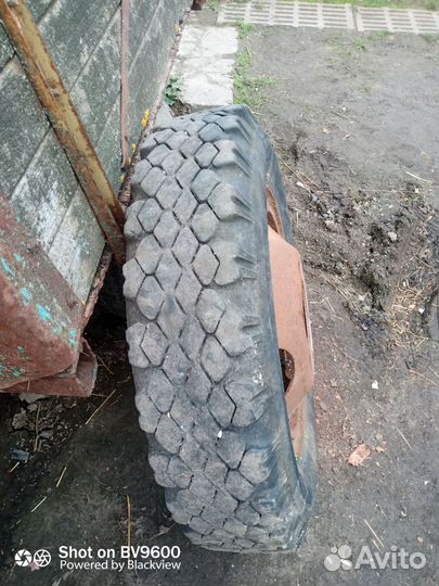 Колесо в сборе б/у на газ 53 продам