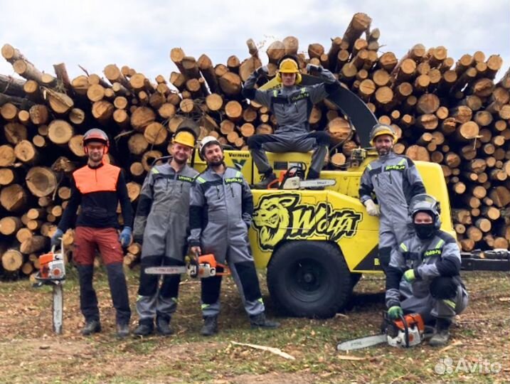 Расчистка участка / спил деревьев Сергиев Посад