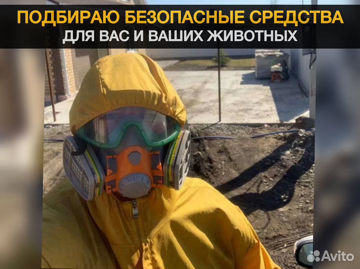 Дезинфекция. Уничтожение тараканов, клопов, крыс