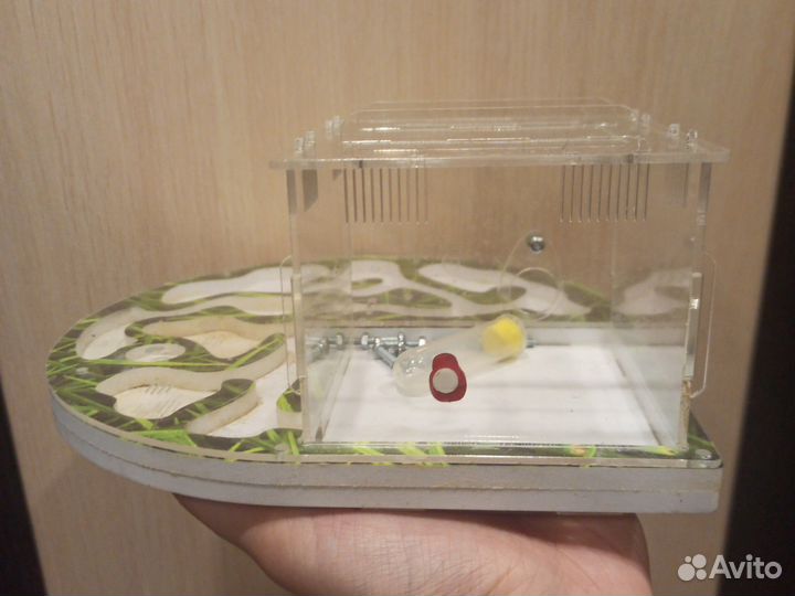 Формикарий - муравьиная ферма с комплектом