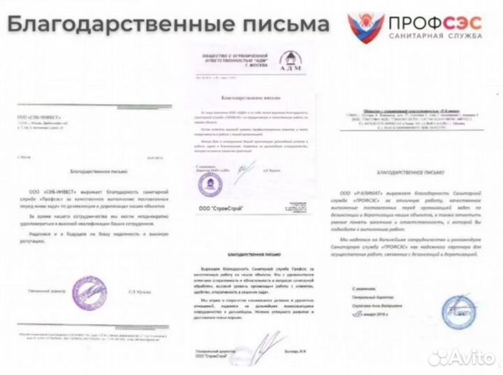 Уничтожение тараканов, травить клопов. Дезинфекция