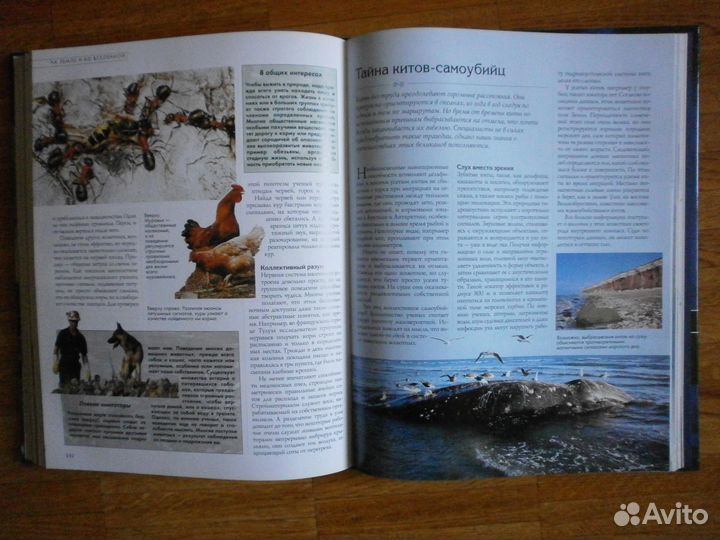 Все тайны Мира