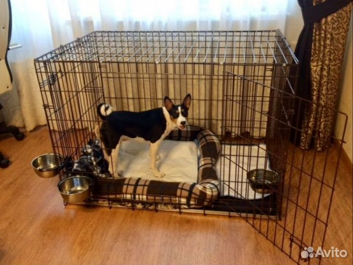 Клетка №4 для собак