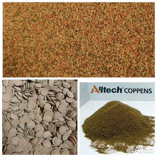 Корм для аквариумных рыб и растения