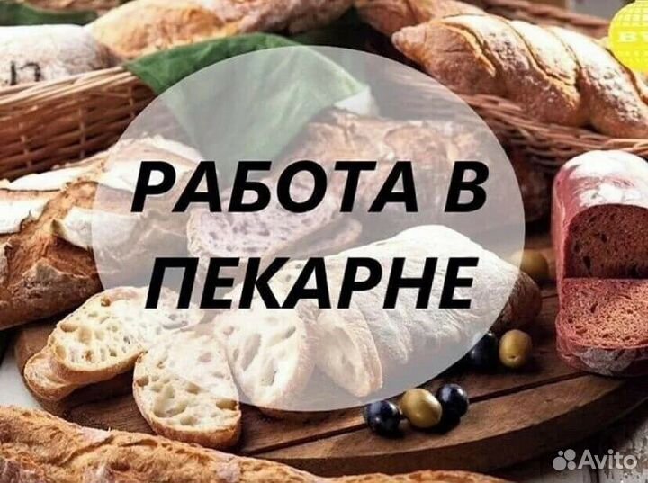 Заготовщик в пекарню