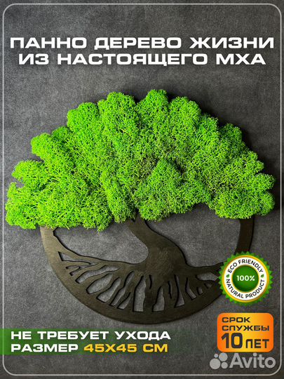 Панно из мха