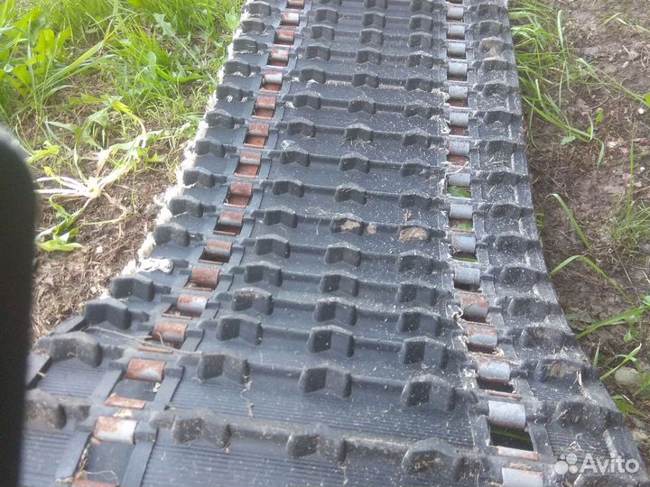 Гусеница буран