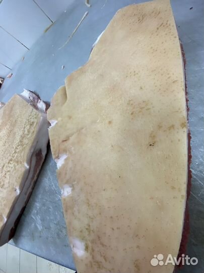 Пашина/Корейка