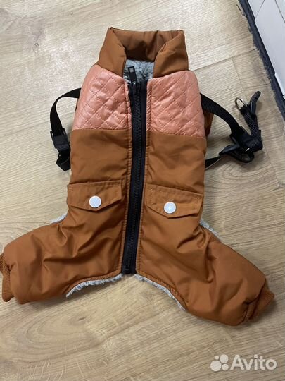 Одежда для собак мелких пород мальчика