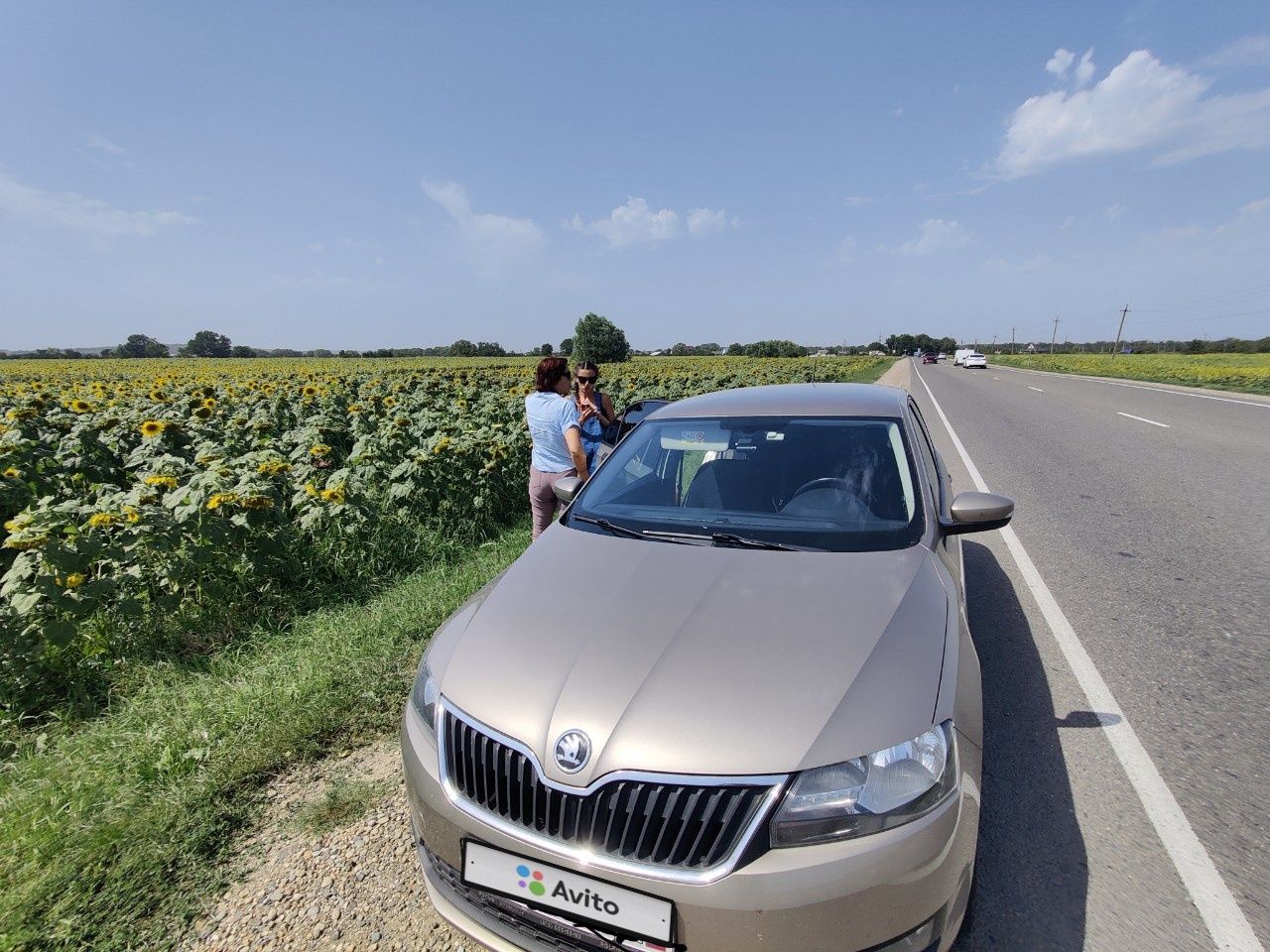 Skoda Rapid: фото владельца