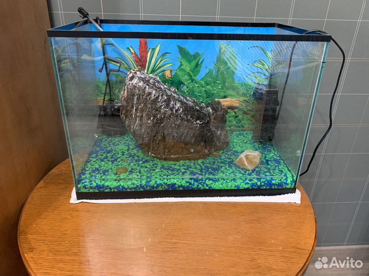 Аквариум
