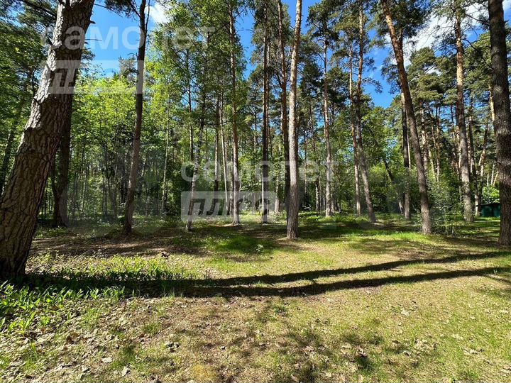 Участок 38,2 га (промназначения)