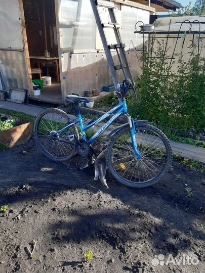 Велосипеды бу взрослый