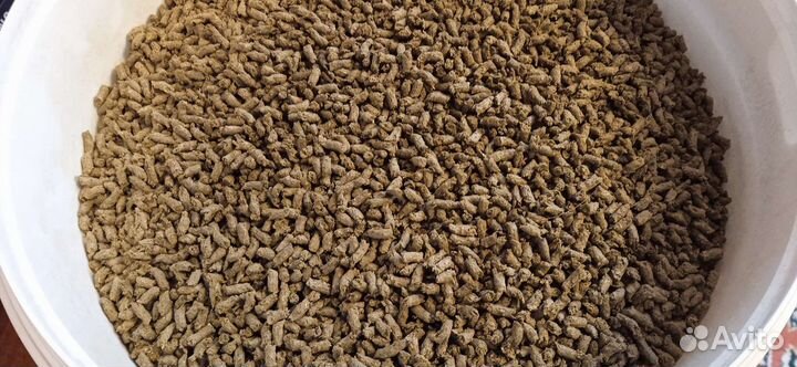 Корм для аквариумных рыбок