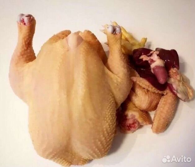 Мясо домашнего бройлера 4-5 кг на 04.09