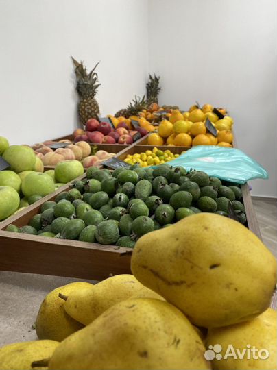 Овощи фрукты