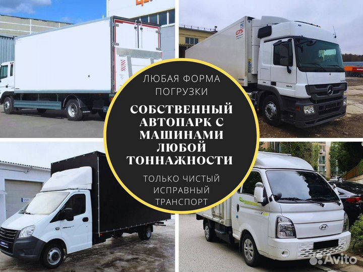 Грузоперевозки Межгород Газель 5 тонн